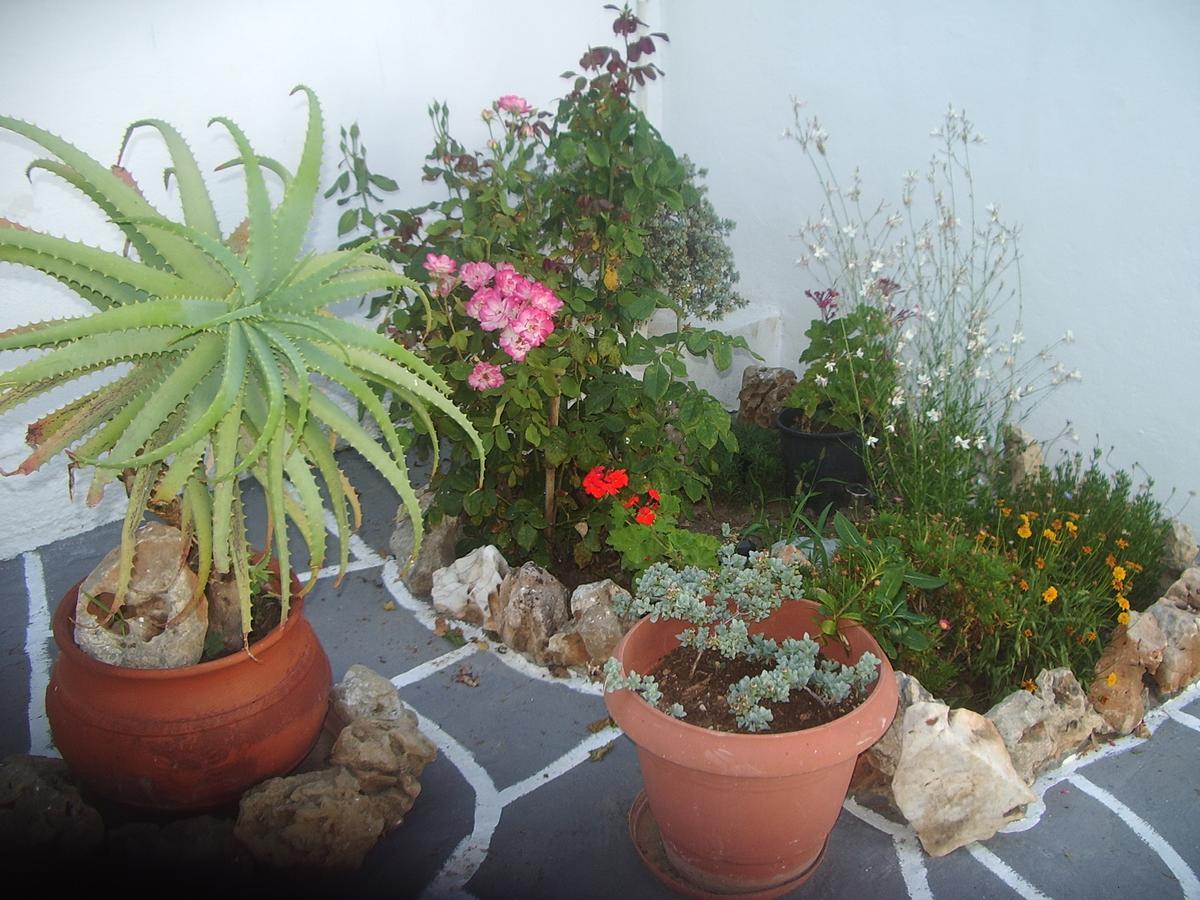 Skyros Koxilas Studios Exterior photo